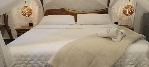 Pitalito Hotel | oBeja negra Muki