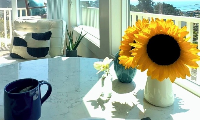 Marine Terrace Cottage | Ocean View Retreat with King sized bed and 5 min walk to sea + Fiscalini trails.