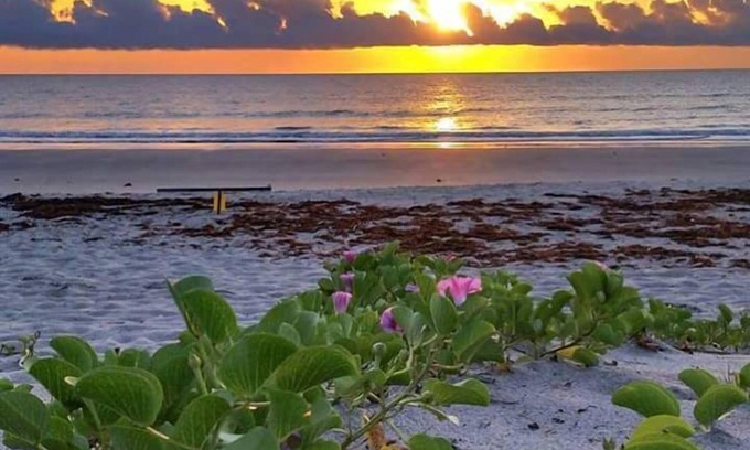 Port Canaveral House | Oceanfront Heated Pool with putting green