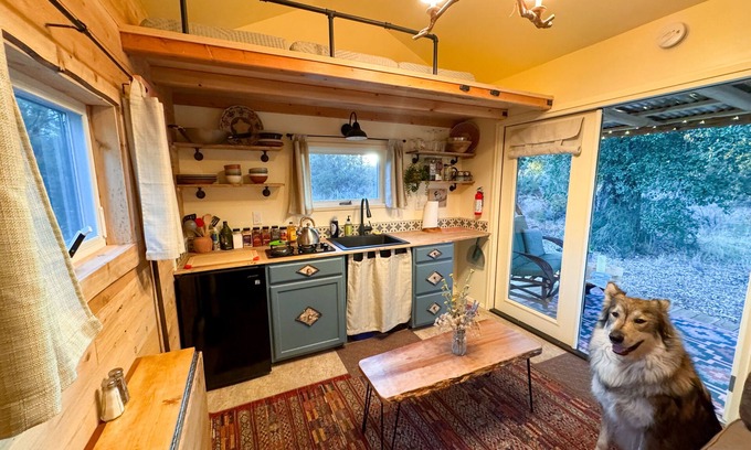 Warner Springs Cabin | Off Grid Petfriendly sanctuary surrounded by ancient oaks with fenced yard.