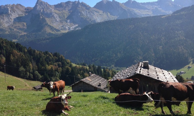 Le Grand-Bornand Ski Chalet | Old chalet completely renovated. South exposure. Panoramic view.
