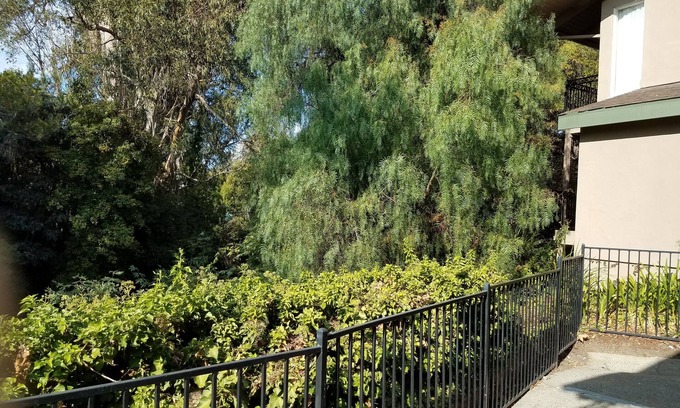 San Luis Obispo Hotel | Olive Tree Inn & Suites