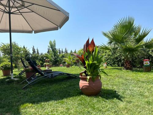 Nea Propontida House | Olympus Sea View Apartment.