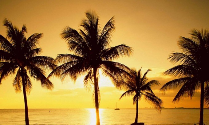 Key Biscayne Apartment | One Bedroom with Pool close to the Beach -