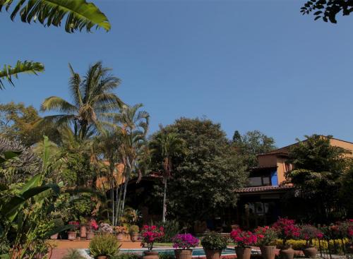 Acapantzingo Hotel | Orchidelirium Casa Hotel & Salud Estética