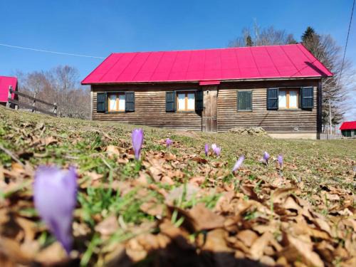 Zagarise Other | Orme nel parco - Villaggio Grechi