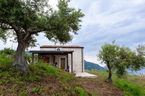 Cefalu Villa | Orto Degli Ulivi