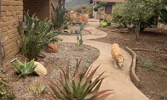 Jamul Other | Painted Sky Hacienda