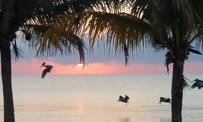 Dangriga Hotel | Pal's on the Beach - A Gold Standard Hotel