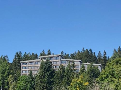 Neureichenau Apartment | Panorama Bayerwald