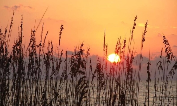 Madeira Beach Condo | Paradise Found Beach Front Complex New Pool Open ! Miles of walkable Beach-