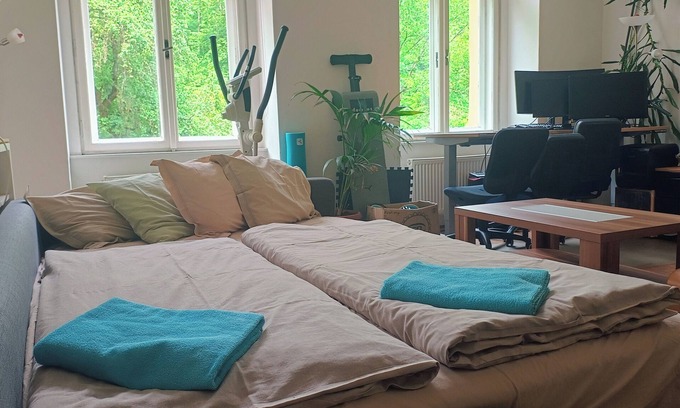 Smichov Apartment | Park View - a digital Nomad's dream