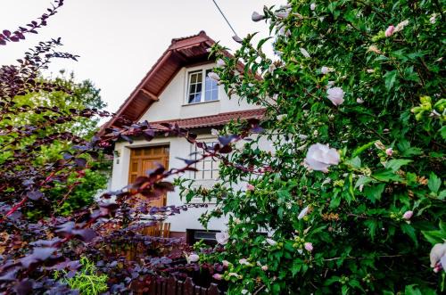 Erd Bed & Breakfast | Parkland Inn
