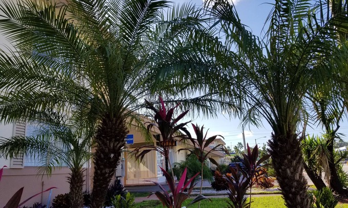 Miami Springs Hotel | Parkway Inn Airport Motel Miami
