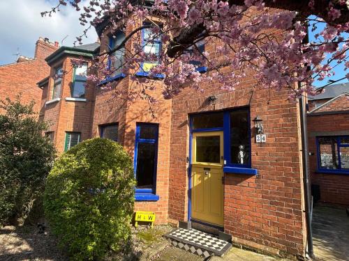 Ormeau House | Pass The Keys Colourful, Quirky Artist-Owned 3 Bed Next to Cafes