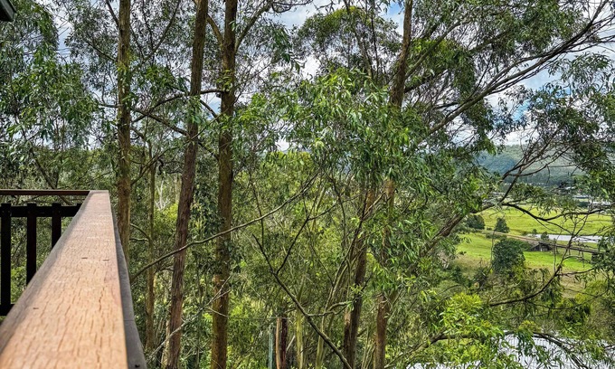 Paterson Cabin | Paterson Skywalk & Bush Bedroom