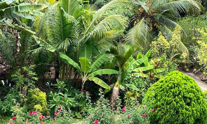 Mahe Island Apartment | Paul's Residence