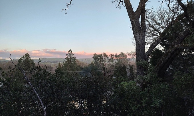 Atascadero Cottage | Peaceful cottage in the woods