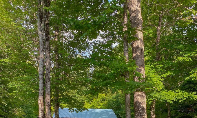 Blue Sea Cottage | Peaceful cottage on tranquil lake