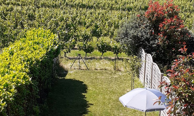Loubezs-Bernac House | Peaceful French townhouse