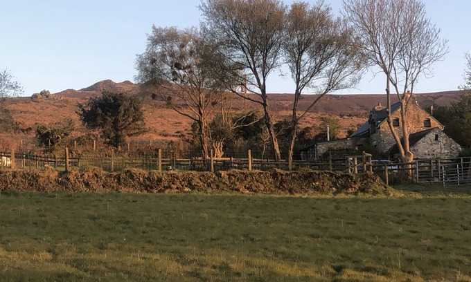 Newport Cottage | PENFEIDR NEWYDD, pet friendly in Newport, Pembrokeshire