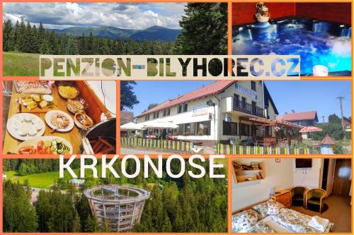 Horni Lanov House | Pension Bílý Hořec