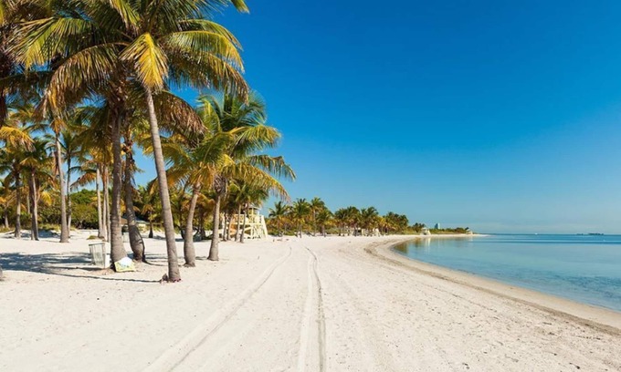 Key Biscayne Apartment | Perfect for you Next Beach Getaway! 2 Family Suites, Fully Equipped Kitchen