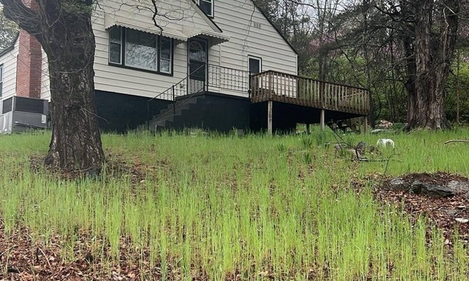 Greeneville House | Perfect, huge, relaxing, and peaceful house located 10 min. of from the city.
