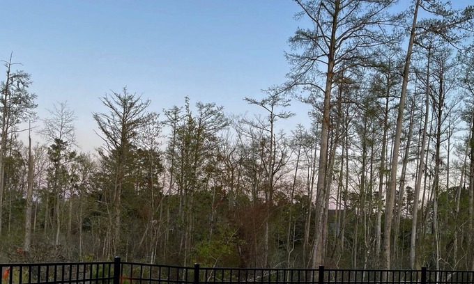 Belville House | Perfect Retreat for Two: Hot Tub, Firepit, Total Privacy, Near Beaches, Downtown