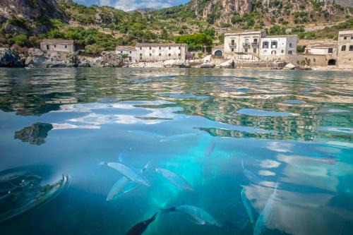 Castelluzzo Apartment | Perla di Mare Appartamenti