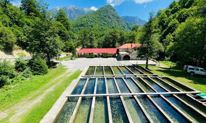 Strellc i Epërm House | Perroi Shqiptar