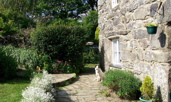 Harlech Other | Pet Friendly Self Catering Holiday, Harlech, Snowdonia.