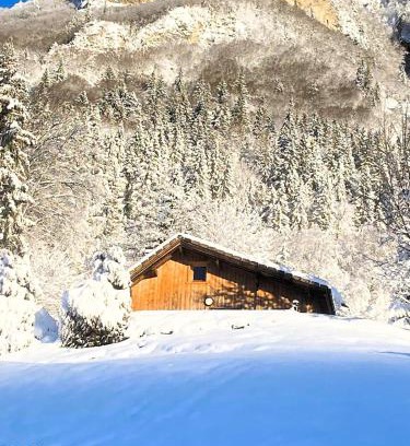 Marignier Ski Chalet | Petit chalet en bois avec mezzanine en montagne