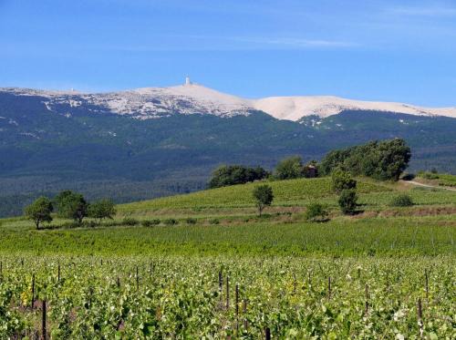 Mazan House | Petit gite de Provence
