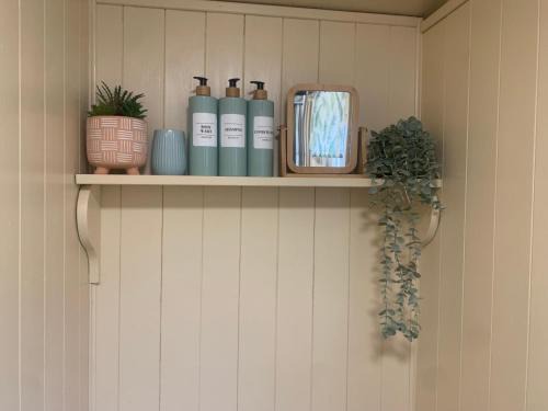Liskeard Apartment | Phoenix Farm Shepherds Hut,Minions, Cornwall
