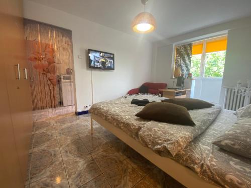 Sector 4 Apartment | Piata Resita Host