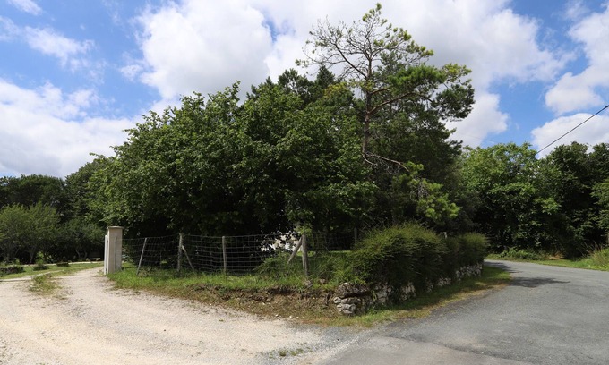 La Chapelle-Montabourlet House | Picturesque 5 bedroom house with pool - Dodo et Tartine