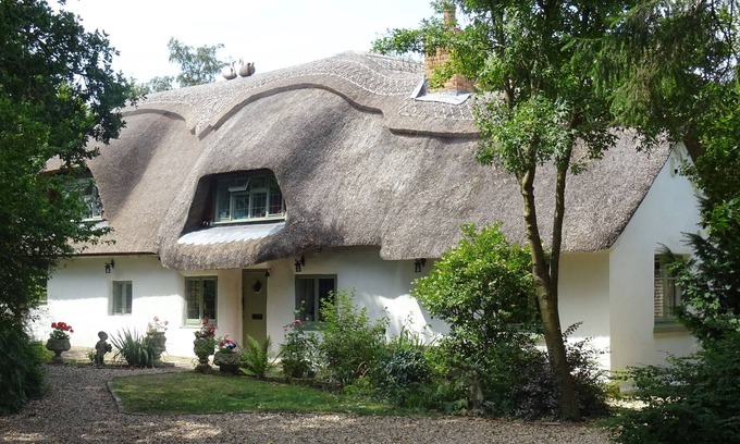 New Forest District Cottage | Picture postcard Thatched cottage in the forest
