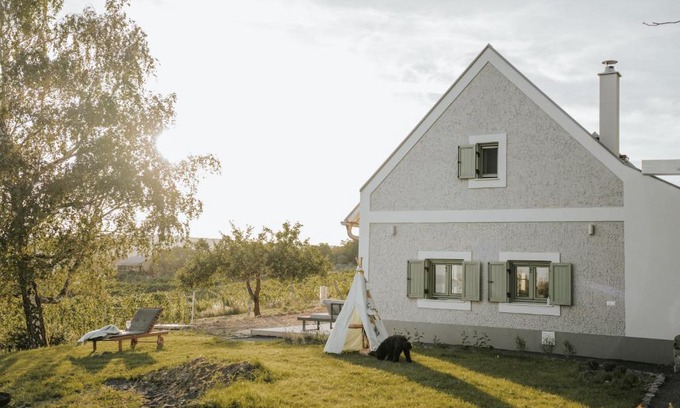 Balatoncsicso House | Pince a hegyen