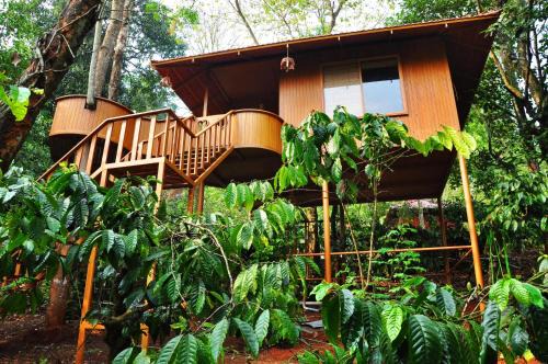 Vayittiri Resort | Planet Green Plantation Resorts, Wayanad, Kerala