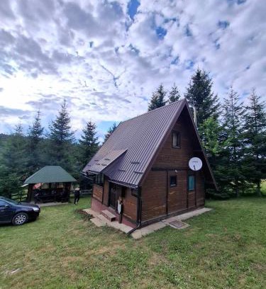 Tara National Park House | Planinska kuca Beli bor