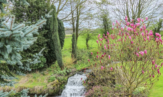 Cuckney Cottage | Pond View