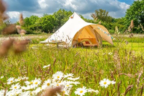 Ringstead House | Poppy at Blancas Bell Tents