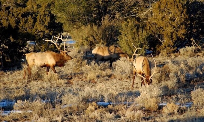 Valle House | Popular Vacation Rental At The Grand Canyon, Make yourselves at Home!