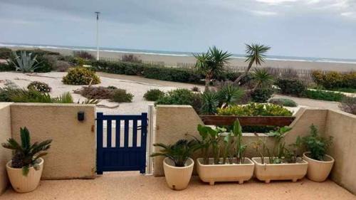 Leucate Apartment | Port Leucate F2 rdc plage 10 mètres, 25 m2, 5 personnes