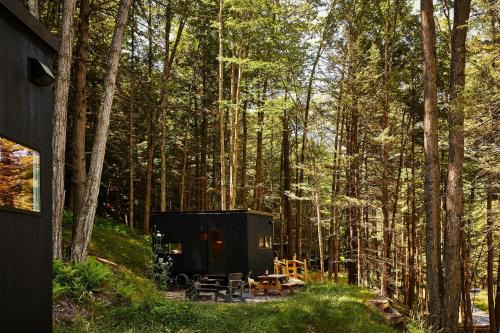Celina Other | Postcard Cabins Dale Hollow, Outdoor Collection by Marriott Bonvoy