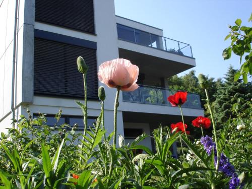 Binz Apartment | Potenberg 4a by Rujana