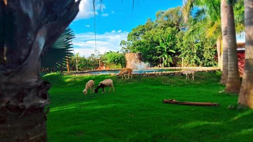 Campos Gerais Hotel | Pousada Café da Roça