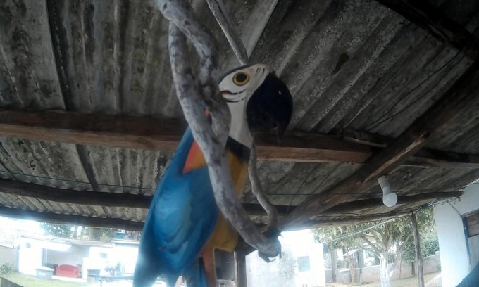 Aiuruoca House | Pouso e Camping do Miguel