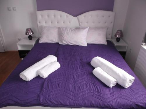 Central Serbia Bed & Breakfast | Prenociste Bojan 017